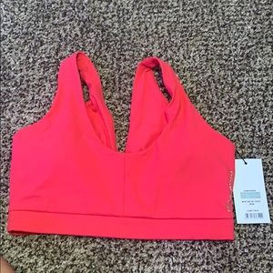 Whitney Simmons sports bra